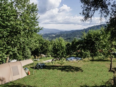 Tentplaats tussen de sinaasappelbomen