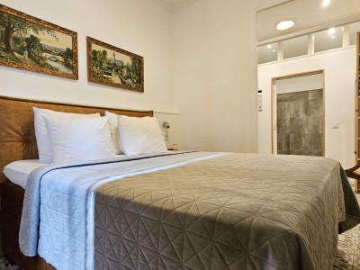 Disabled double room