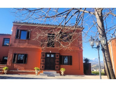Suite Colli