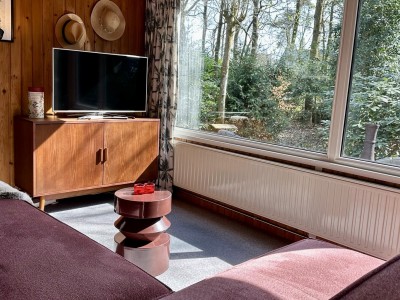 Boshuisje De Eekhoorn - Doldersum