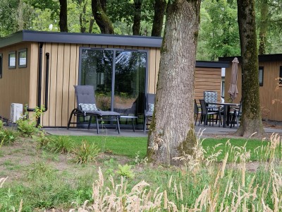 Chalet holiday home Wood386 on the veluwe in Ede