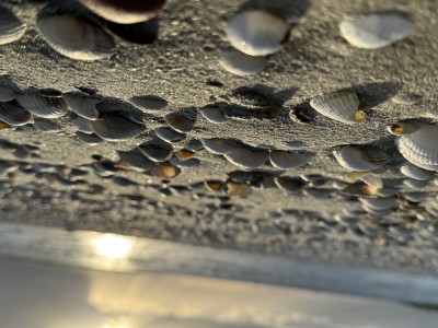 Ruim en luxe appartement 'Strandje De Grote Nol'