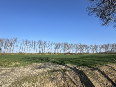 Ruim en luxieus appartment 'De Moggershil'