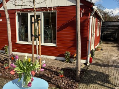 Eekhoorn met barrelsauna