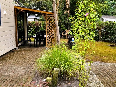 Het Veluwse nest