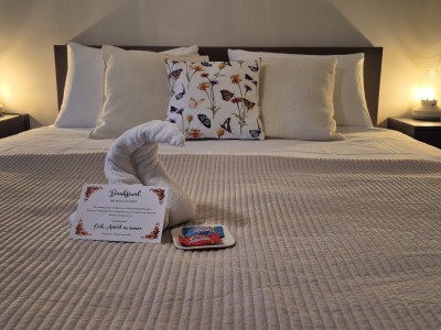 Bed and Breakfast Comfort