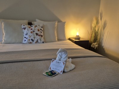 Bed and Breakfast Comfort