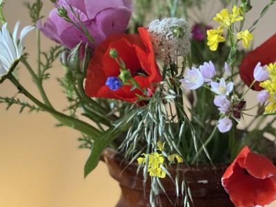 Luxe Spa met Sauna, Bad & Bioscoop