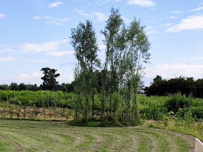 WATERHOEN | Kampeerplaats, tent