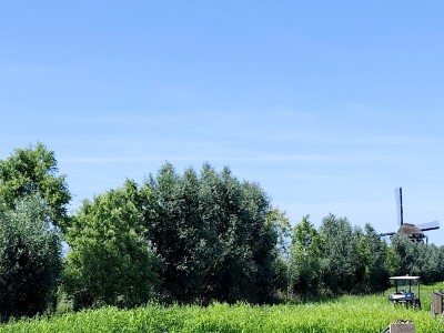 ZWALUW | Kampeerplaats, tent