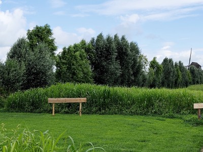 ZWALUW | Kampeerplaats, tent