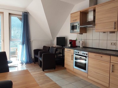 Apartment. 2 pers. 1 bedroom and living room with balcony and view of the Moselle