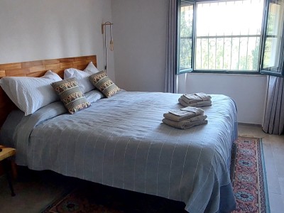 Gufo + Canarino | 4p