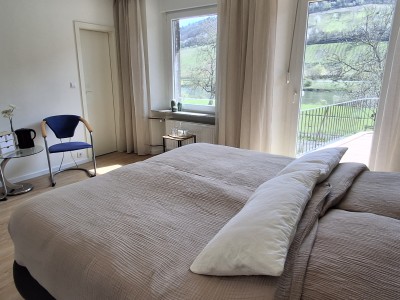Kamer met dakterras, Moezelzicht en eigen badkamer