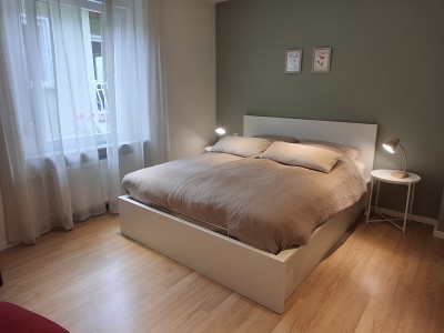 Rustige kamer met eigen badkamer (WC/douche)