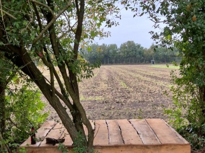 Plekje voor eigen tent: 't middelpunt