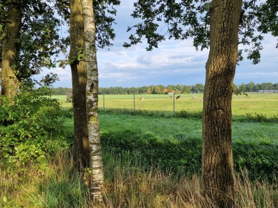 Plekje voor eigen tent: 'verste punt