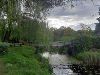 Suzie's Cottage