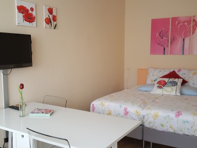 Studio Tulp