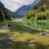 Daily guided hikes