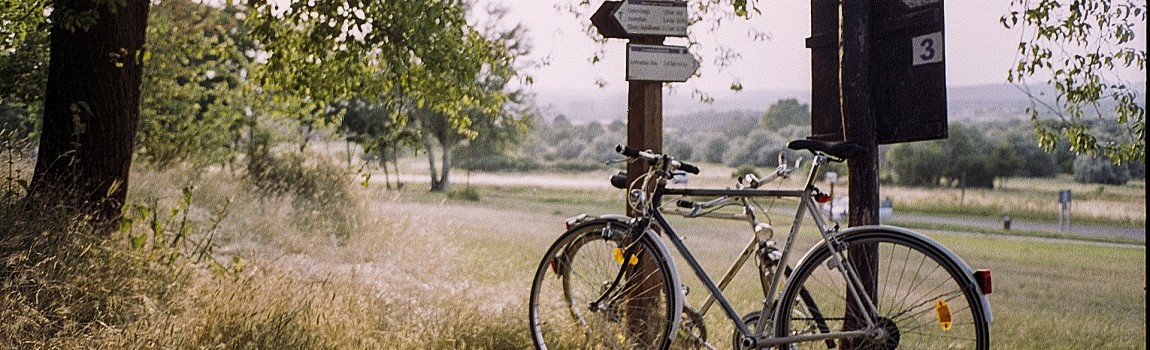 Flanders cycling country!