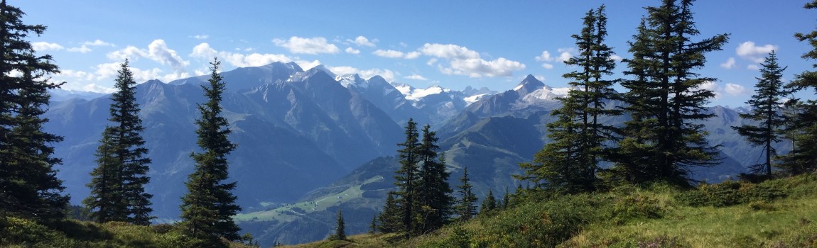 Actieve vakantie in Piesendorf