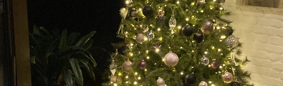 Zoekt u  naar een volledig af te huren locatie met kerst?