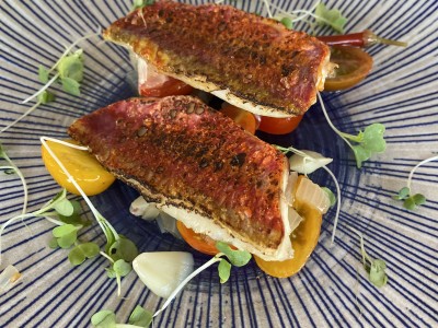 El Quinto Sabor,  private chef & catering