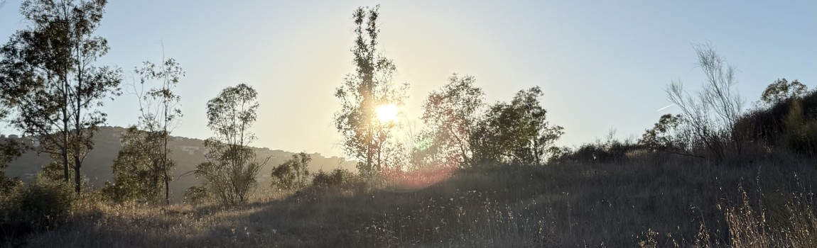 Hoe je een actieve vakantie combineert met ontspanning 🏞️✨