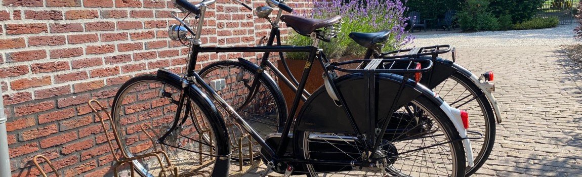 Explore the area in style with our free grandma and grandpa bicycle.