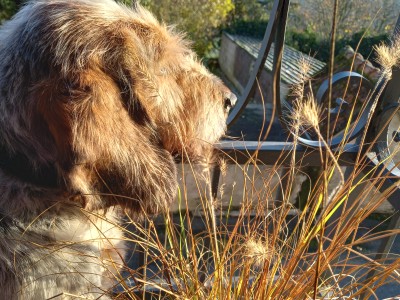 Victor (deel 2)