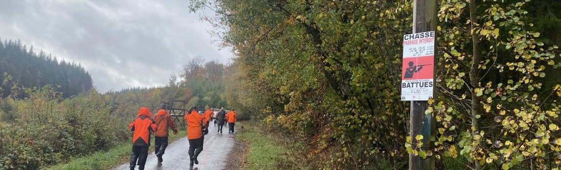 Wandelen in het bos tijdens het jachtseizoen