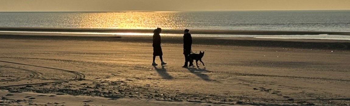 Nazomer- & herfstdeal