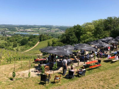 Wine tasting Luxembourg