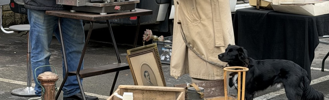 Treasure Hunting & Castle Dreams