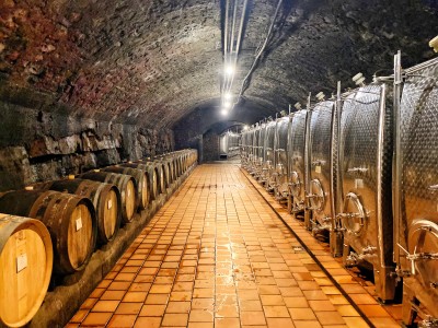 Wine
