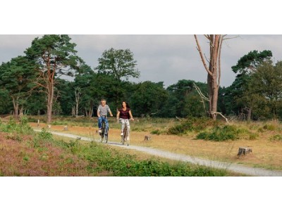 Drentse Fiets4Daagse