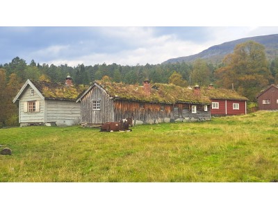 Støyl and Sæter