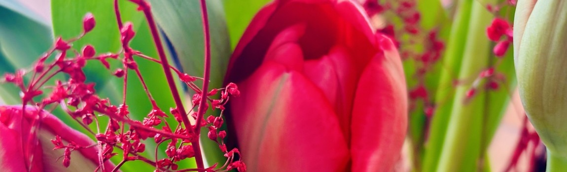 Easter brunch on 4-5-6 April 2026.