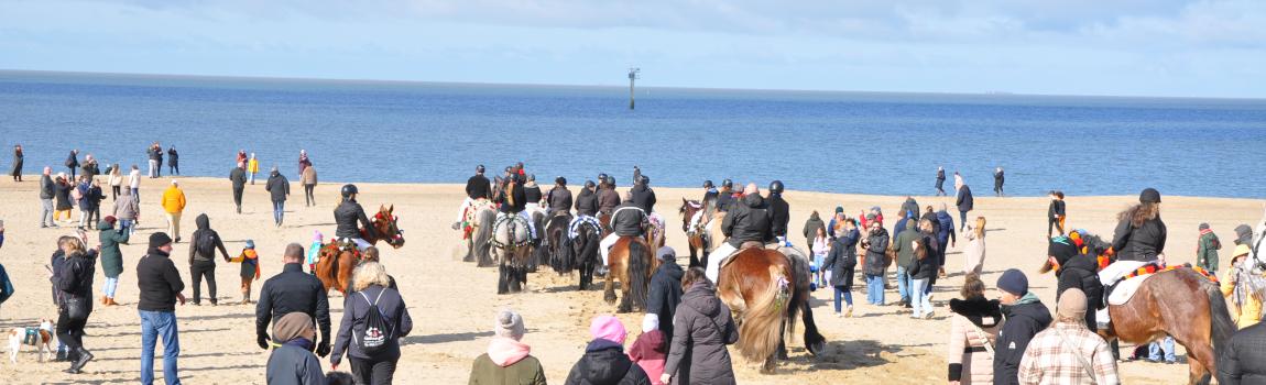 Hundestrände Schouwen-Duiveland: Regeln und Freilaufgebiete