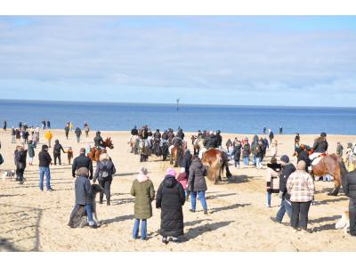 Hondenstranden Schouwen-Duiveland: regels en losloopgebieden