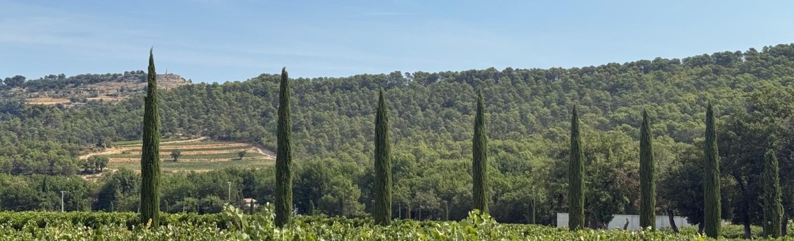 Chateau La Coste: de verplaatsing meer dan waard!