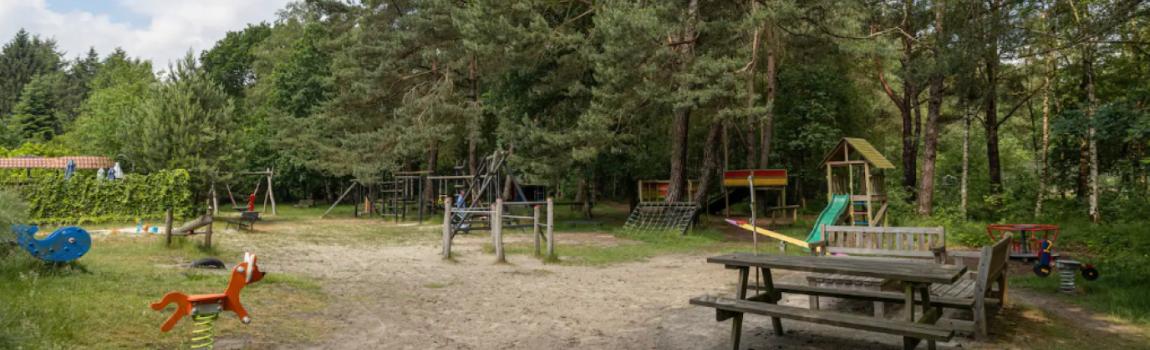 Korte vakantie met een baby of peuter in het bos