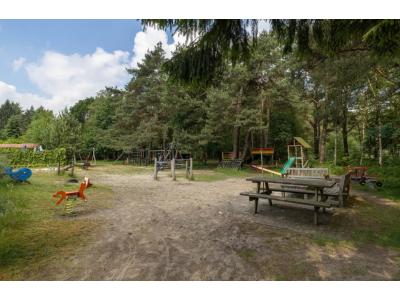 Korte vakantie met een baby of peuter in het bos