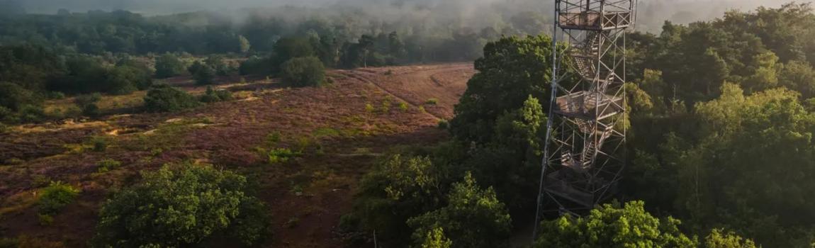 De mooiste wandelingen rond Ommen: Lemelerberg, Archemerberg en Regge
