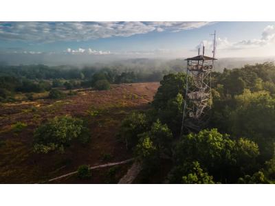 De mooiste wandelingen rond Ommen: Lemelerberg, Archemerberg en Regge