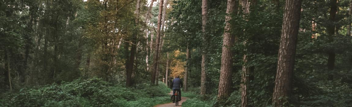 Fietsen in het Vechtdal: routes vanaf de voordeur