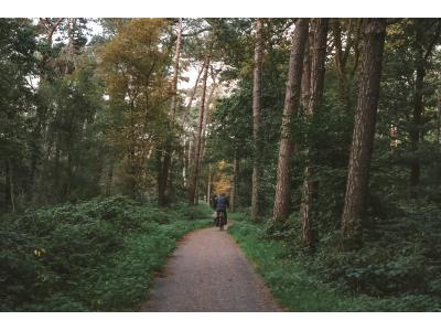 Fietsen in het Vechtdal: routes vanaf de voordeur