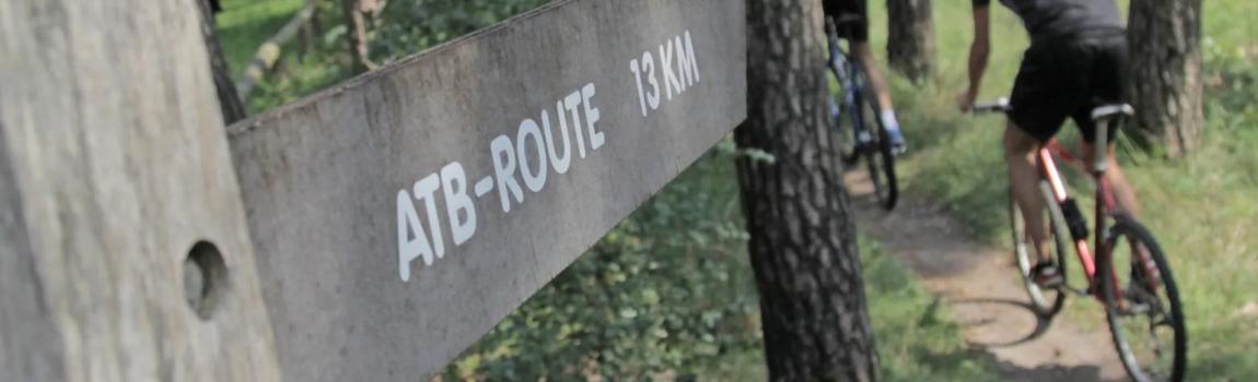 Mountainbiken rond Ommen: een boshuisje als uitvalsbasis