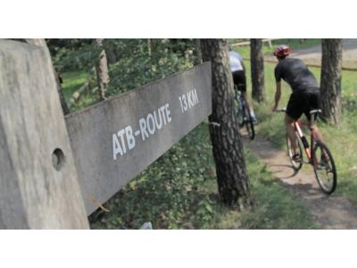 Mountainbiken rond Ommen: een boshuisje als uitvalsbasis